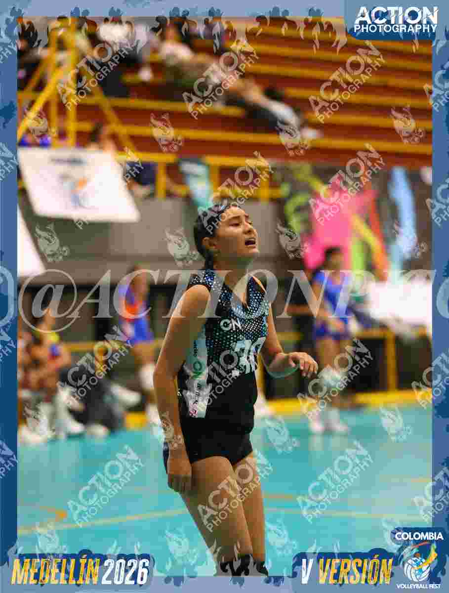 TIGRES S Foto 11