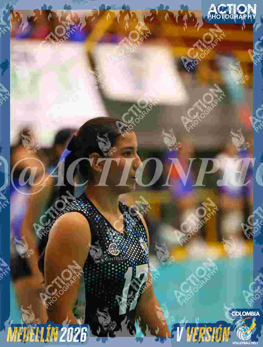 TIGRES S Foto 1