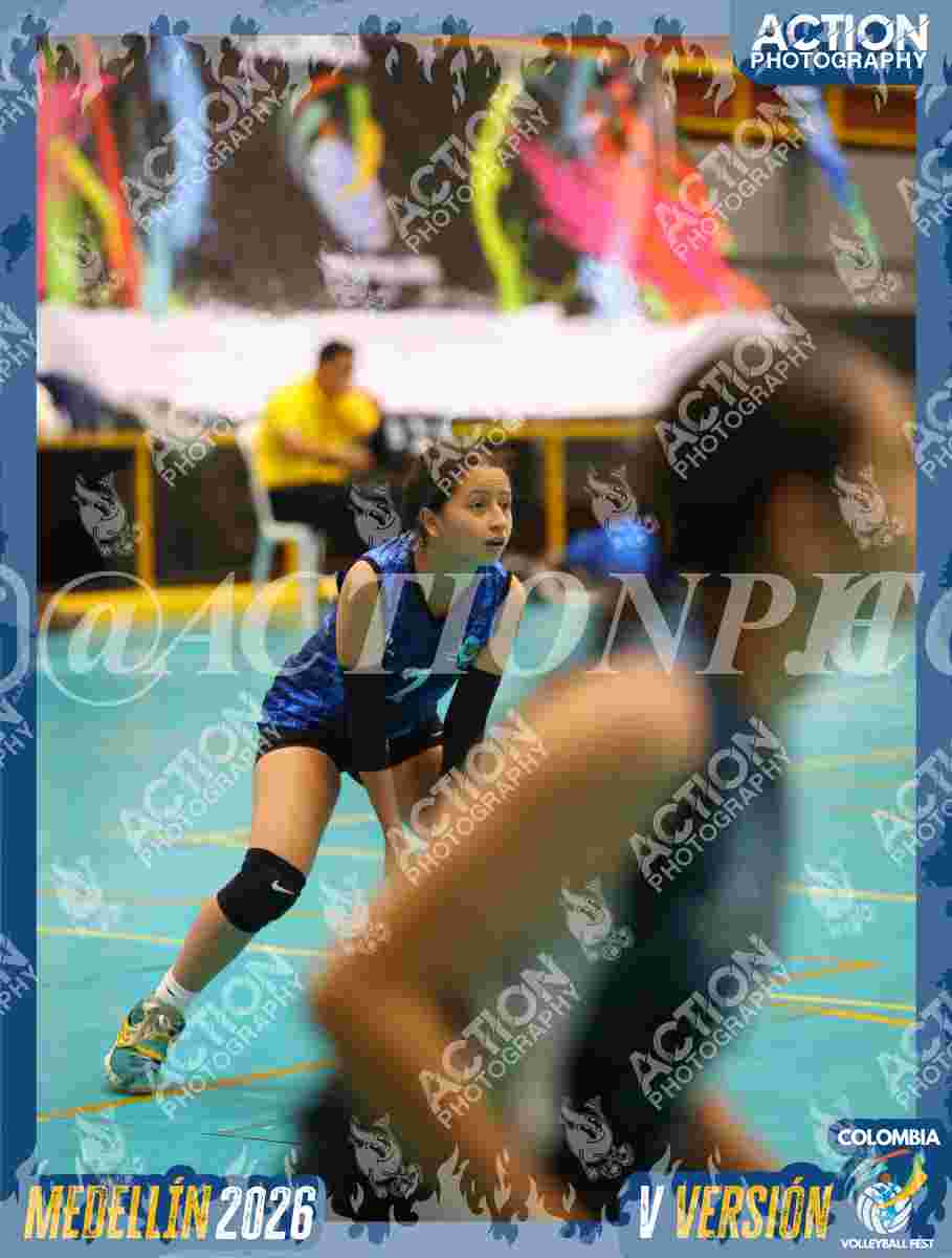 TIGRES S Foto 11