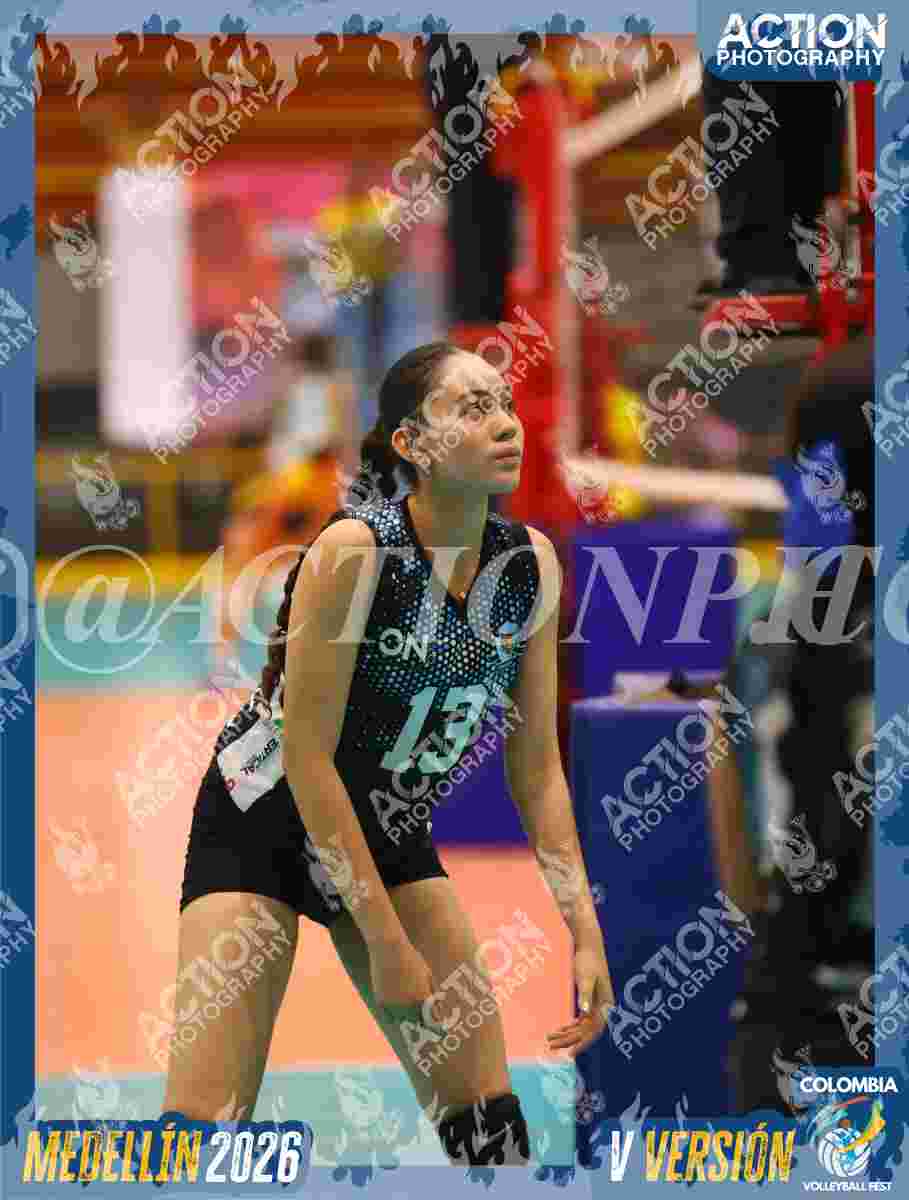 TIGRES S Foto 11