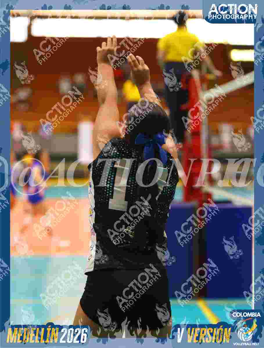 TIGRES S Foto 16