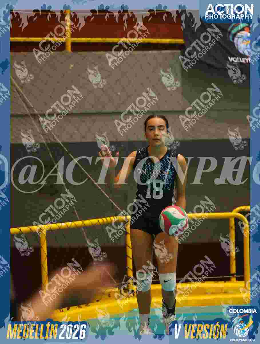 Preview de TIGRES S
