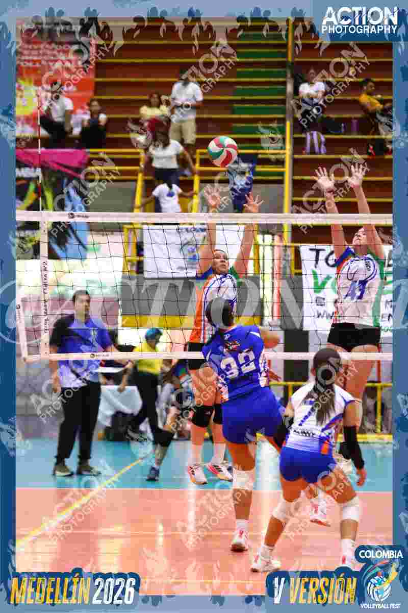 Preview de TIGRESAS 13