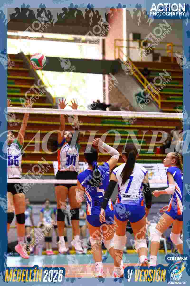 Preview de TIGRESAS 13