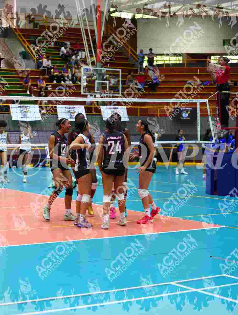 Preview de AGUILAS DEL VALLE
