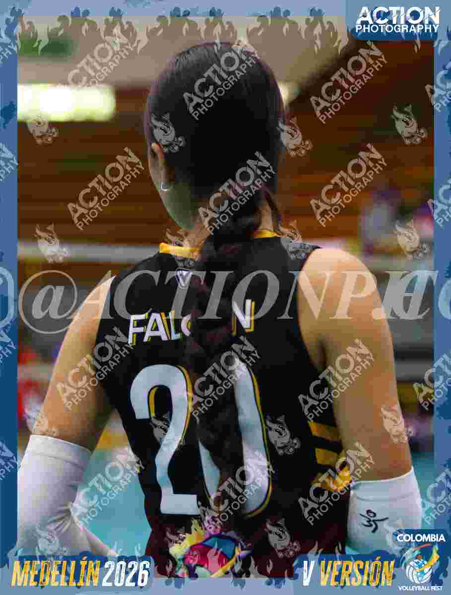 FALCON  Foto 5