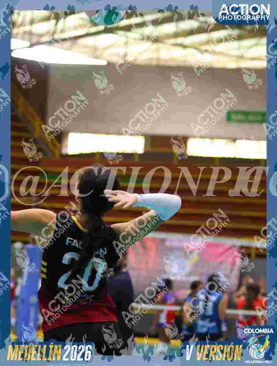 FALCON  Foto 5