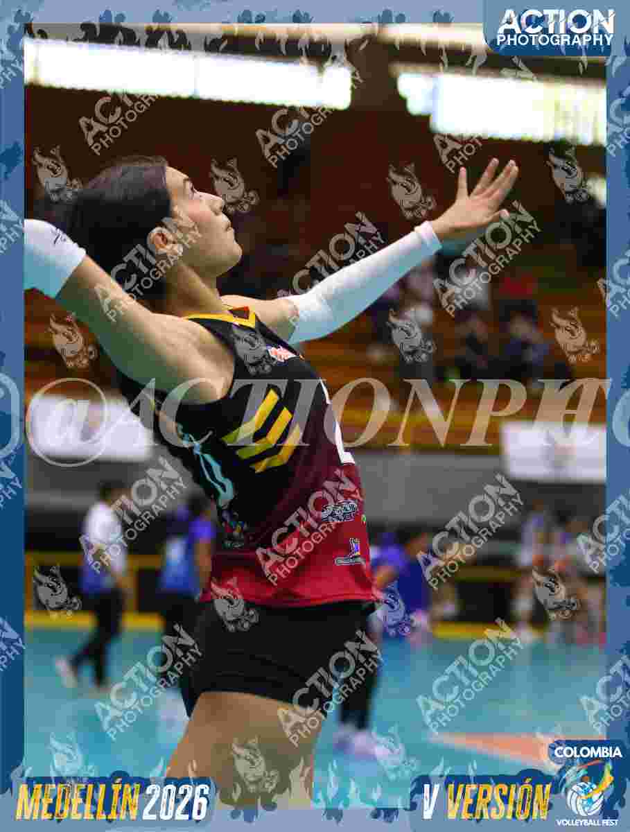 FALCON  Foto 1