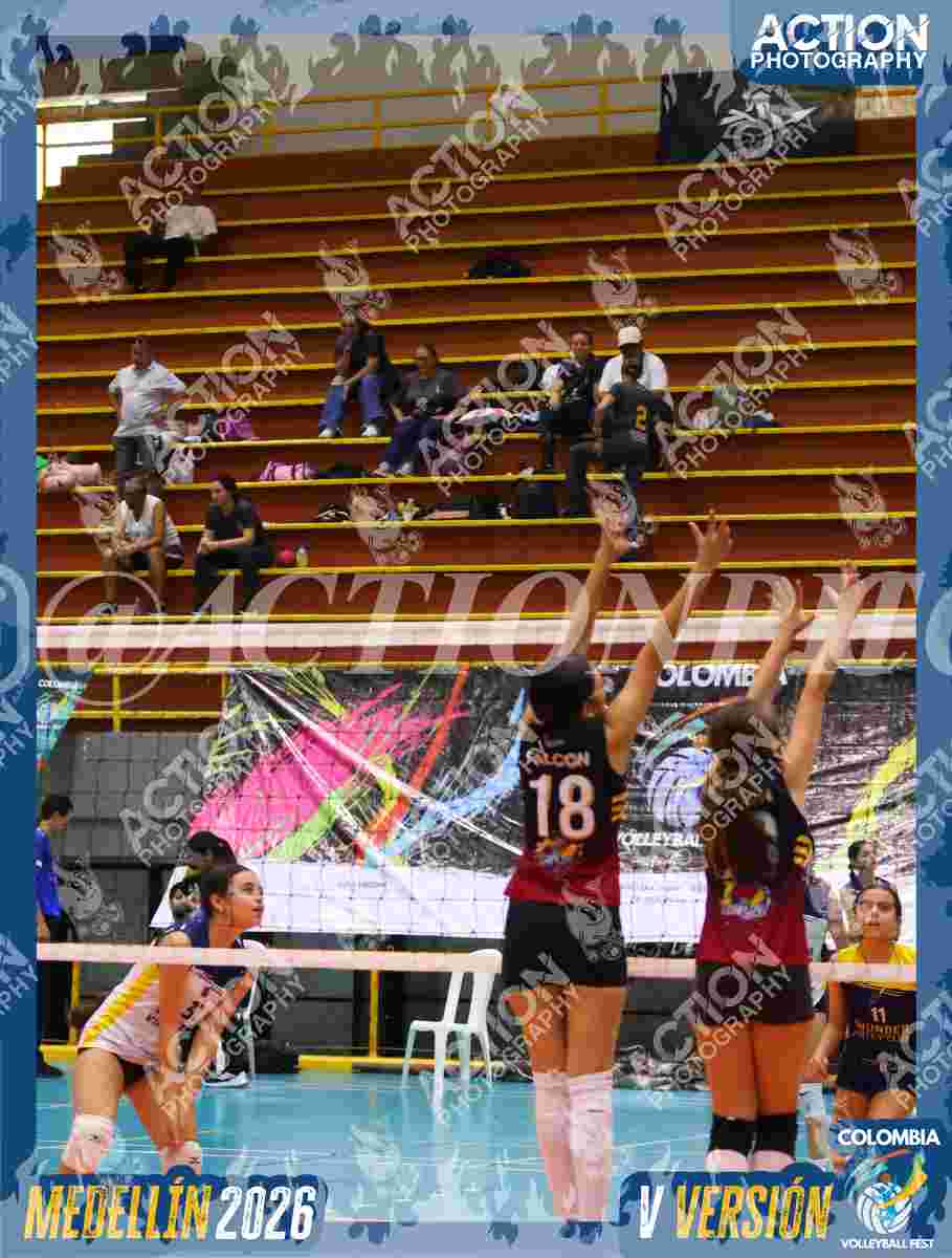 FALCON  Foto 5