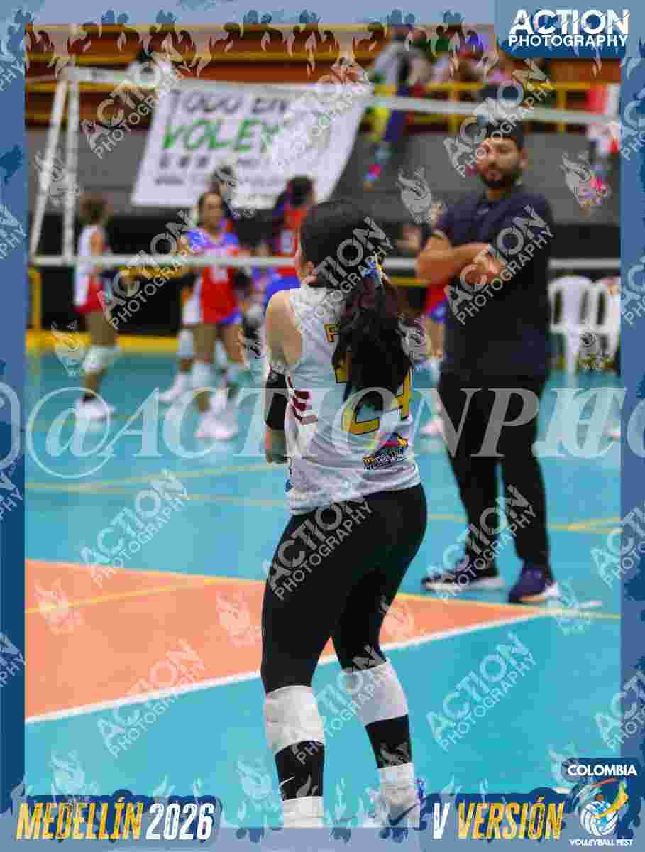 FALCON  Foto 5