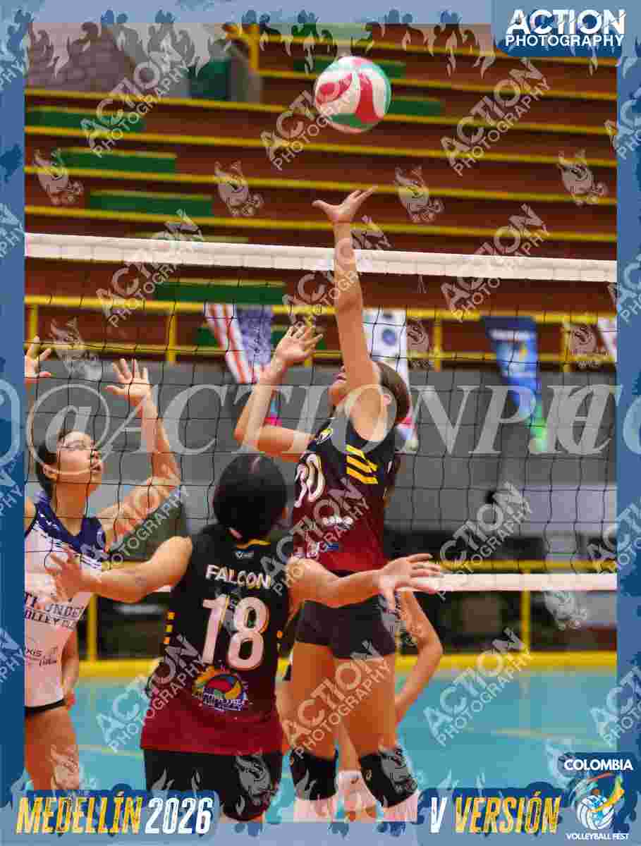 FALCON  Foto 14