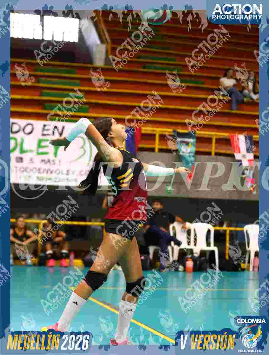 FALCON Foto 11