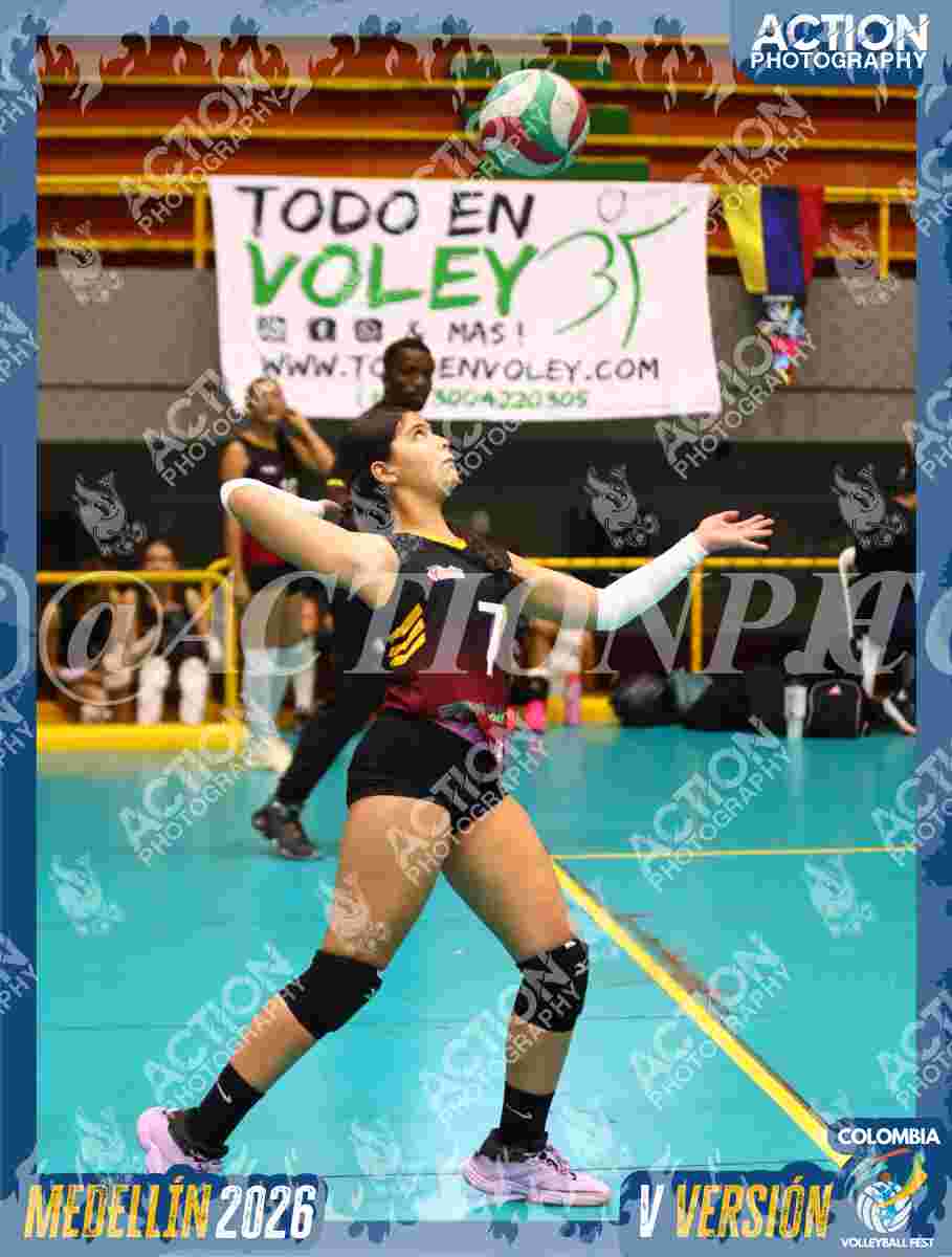 Preview de FALCON