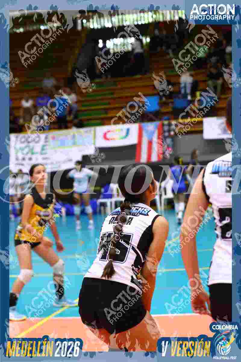 MAVERICK Foto 1