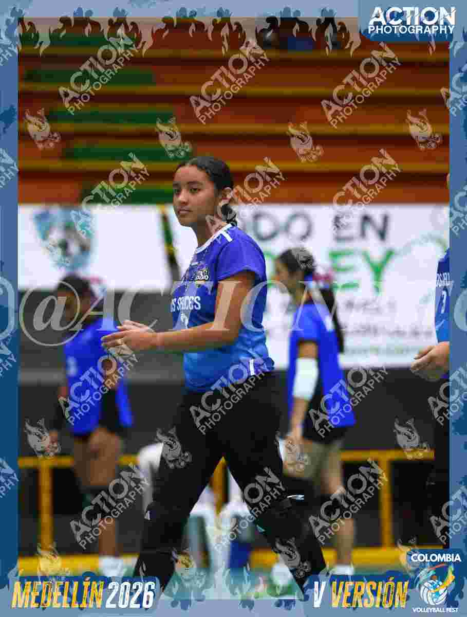 SAUCES  Foto 5