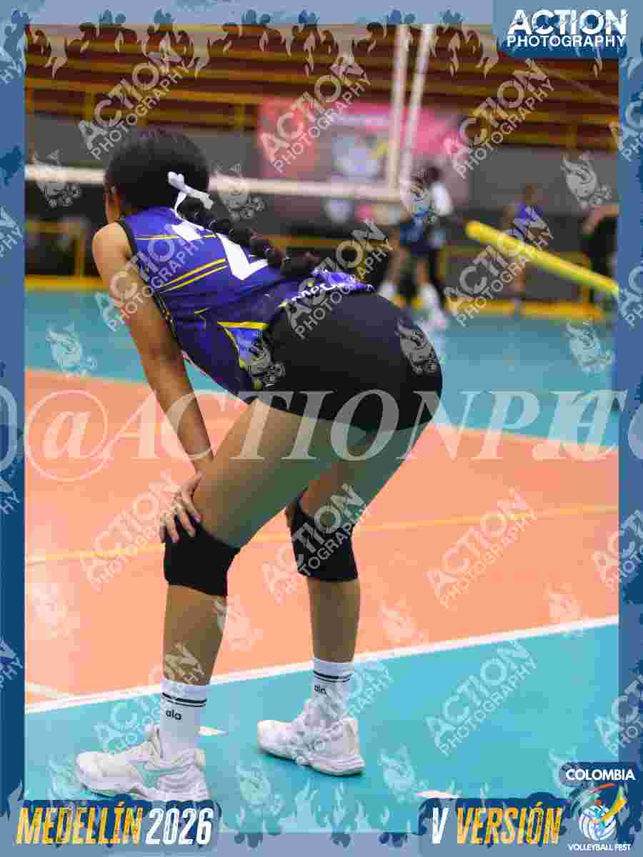 TIGRES JP Foto 1