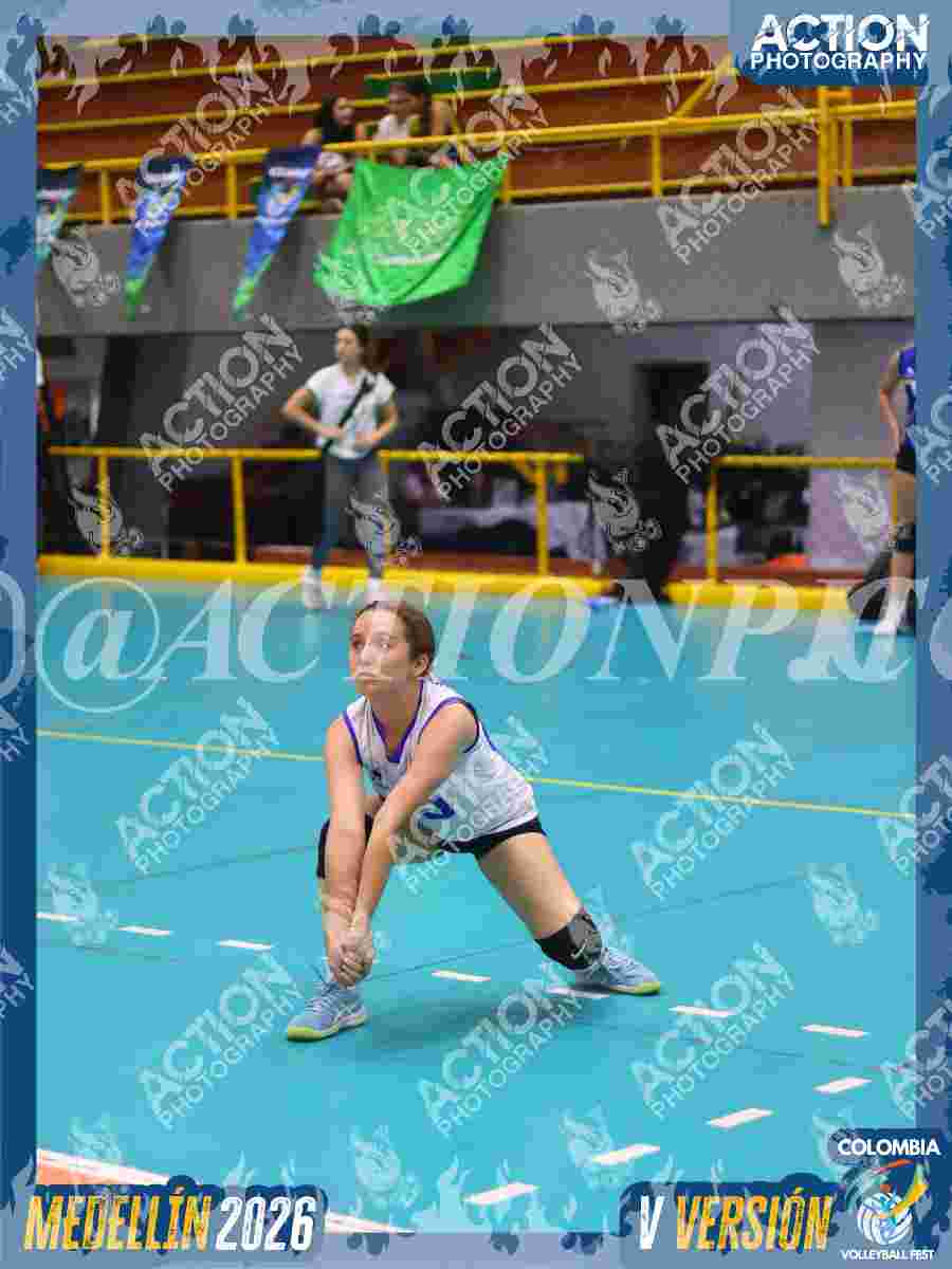 TIGRES JP Foto 1