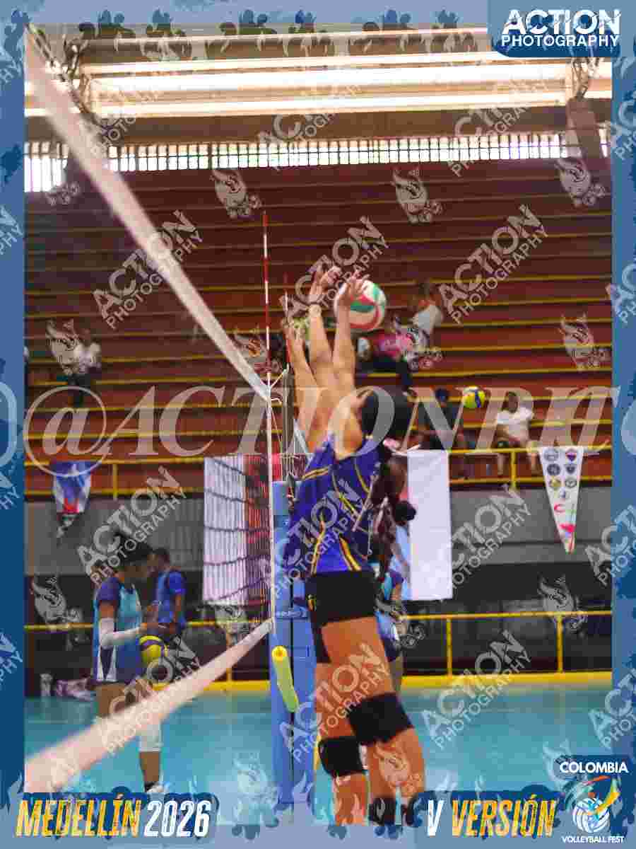 TIGRES JP Foto 1