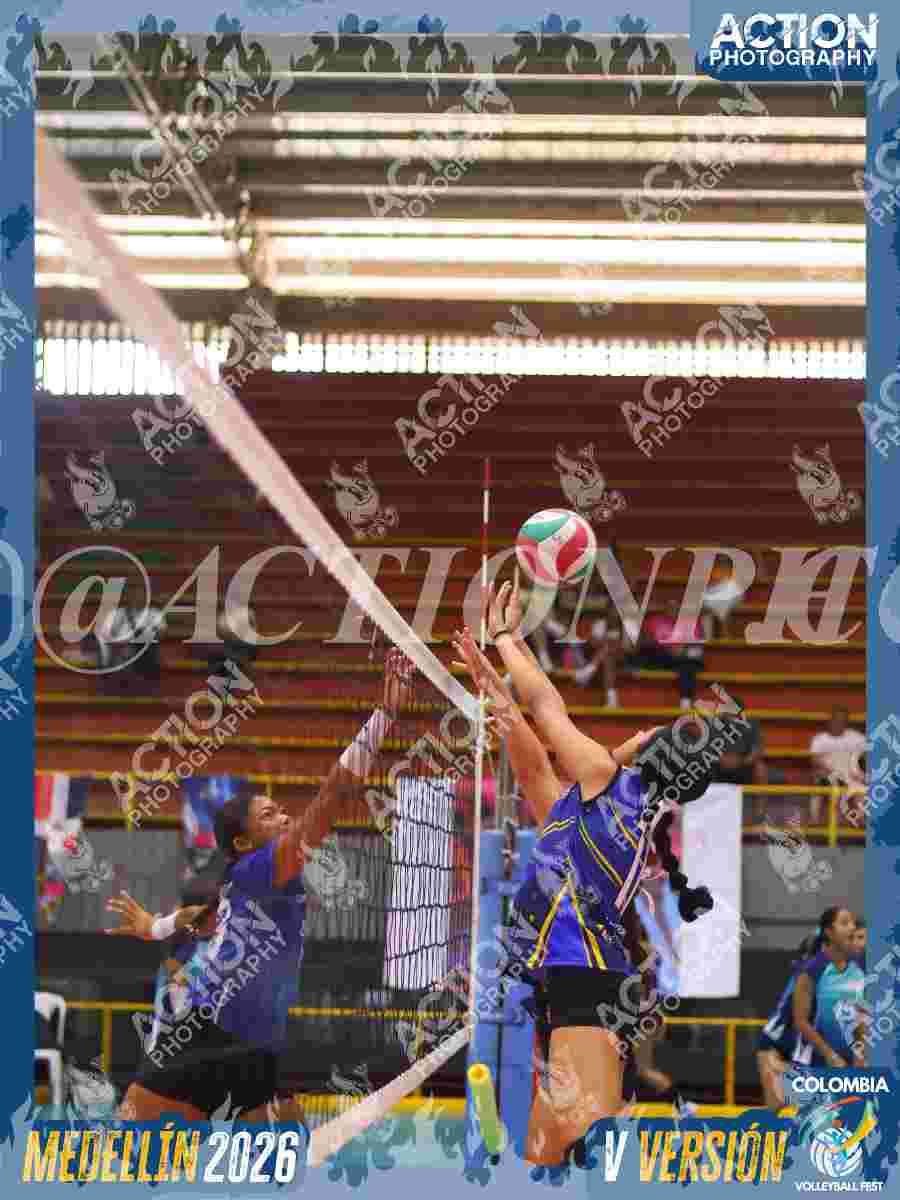 TIGRES JP Foto 1