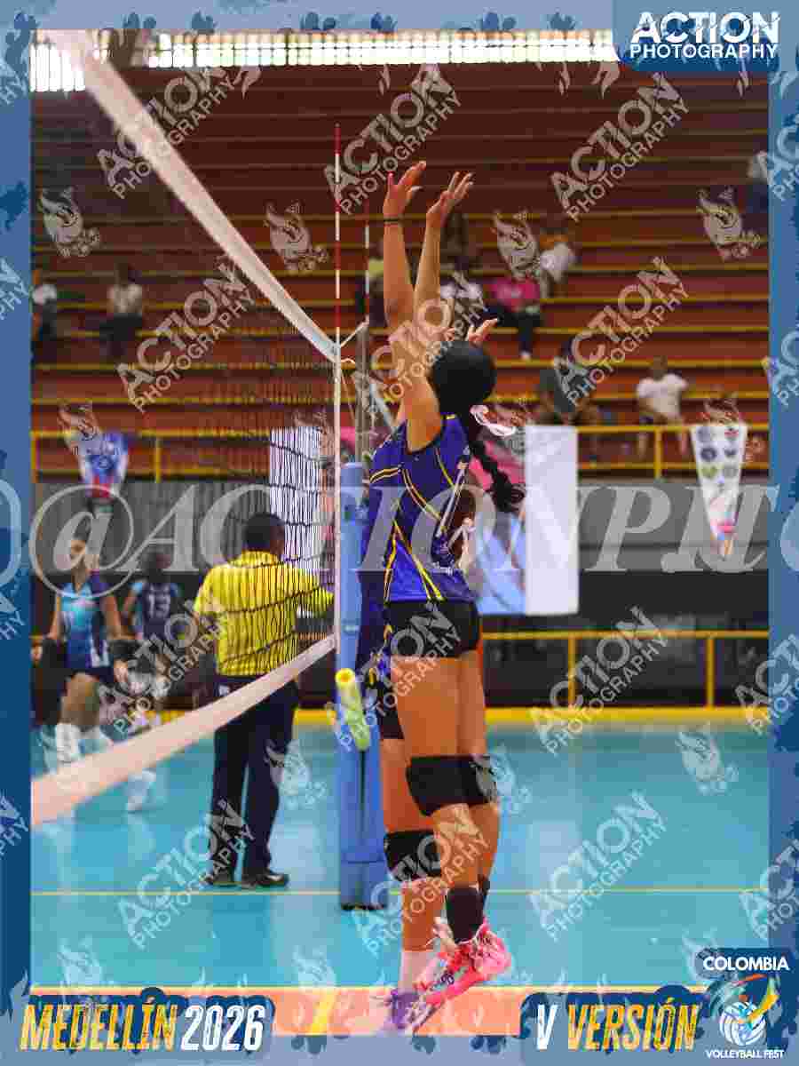 TIGRES JP Foto 1