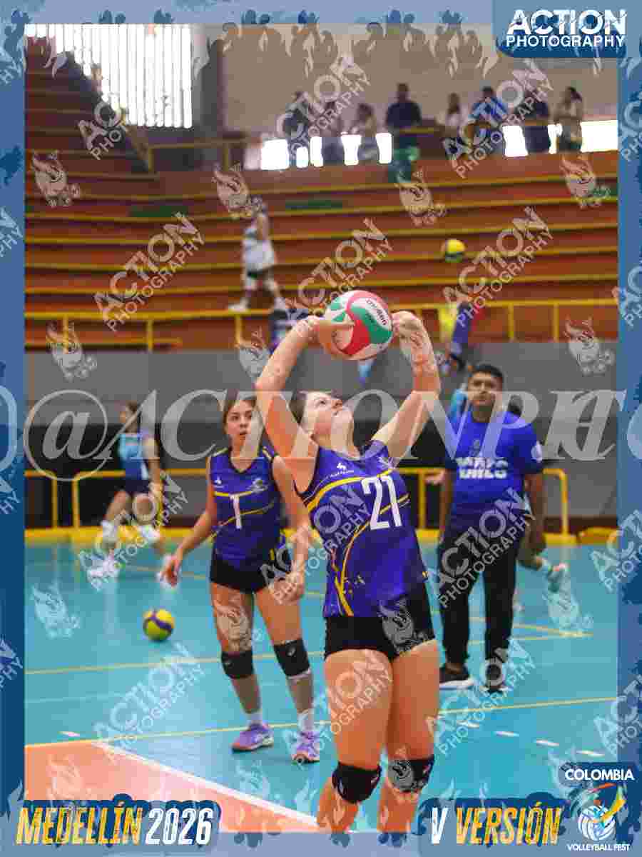 TIGRES JP Foto 1