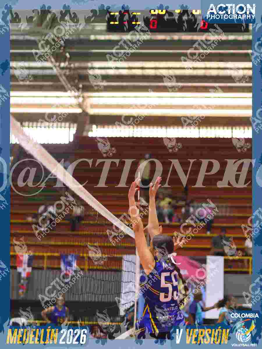 TIGRES JP Foto 11