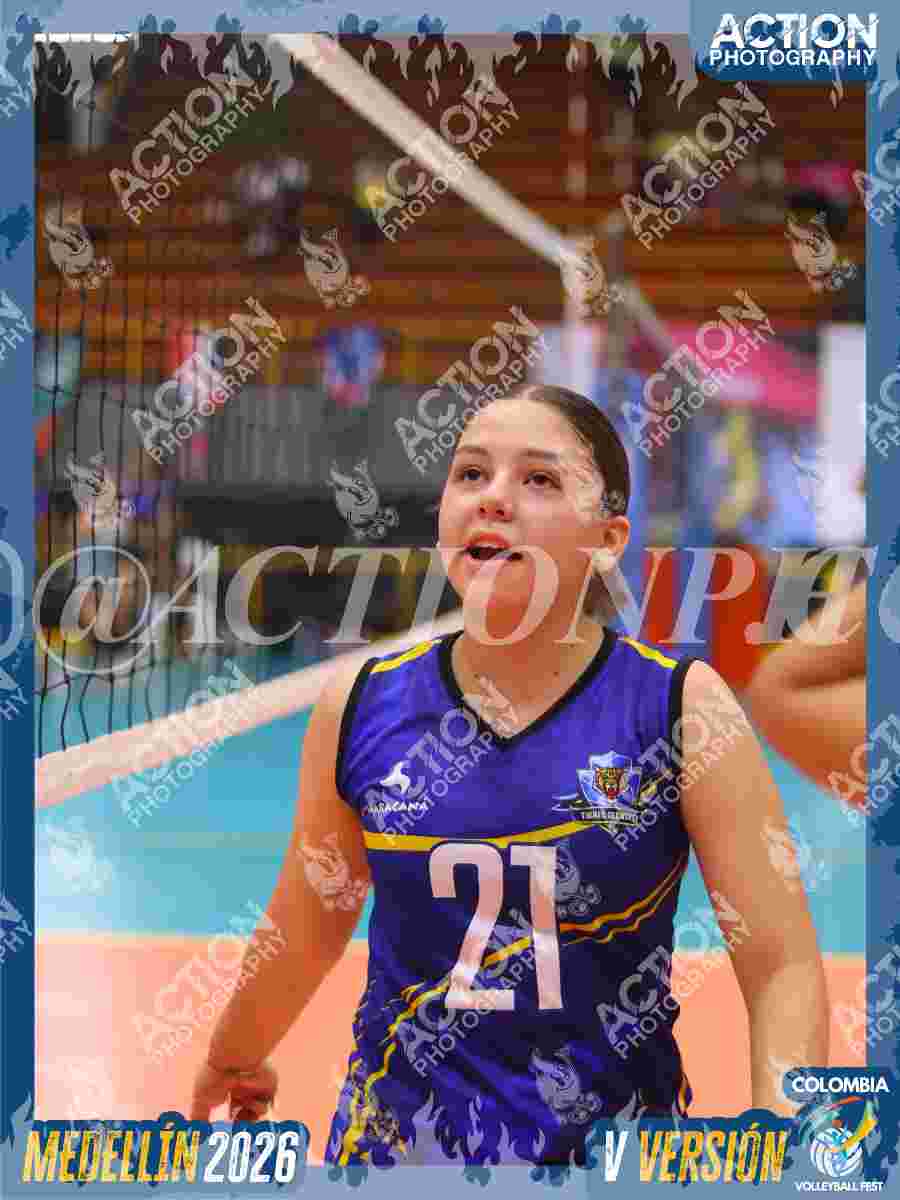 TIGRES JP Foto 11