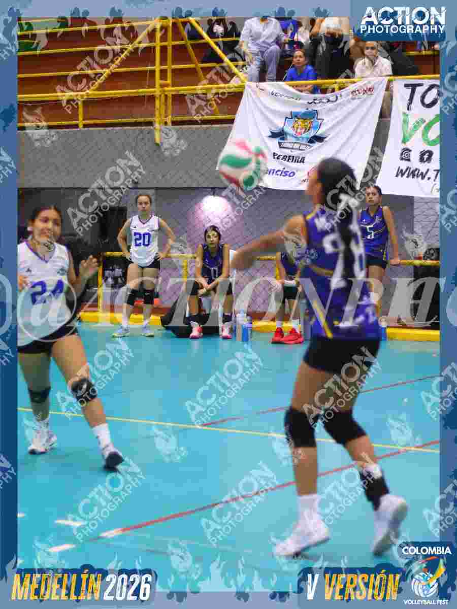 TIGRES JP Foto 11