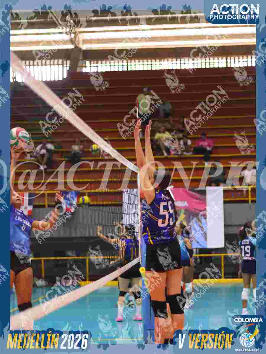 TIGRES JP Foto 11