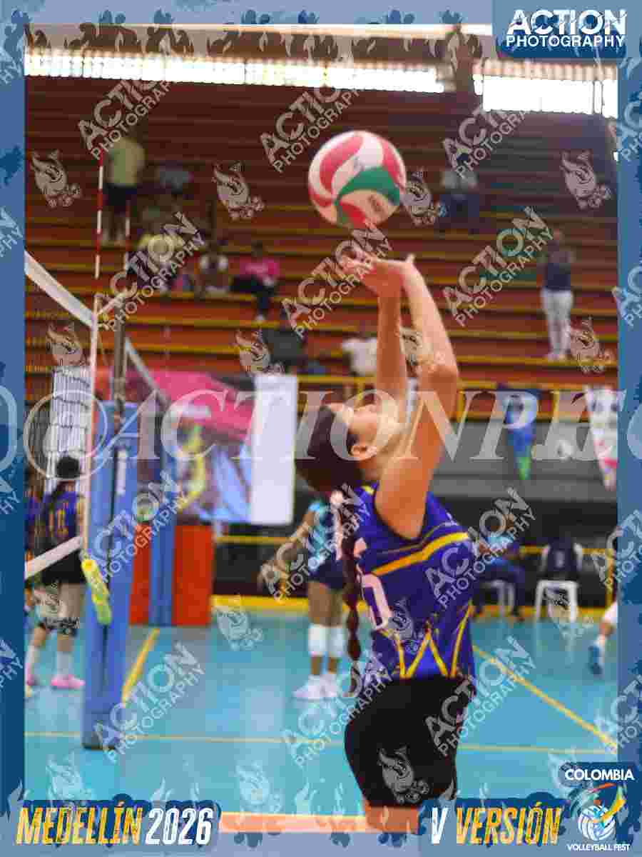 TIGRES JP Foto 11
