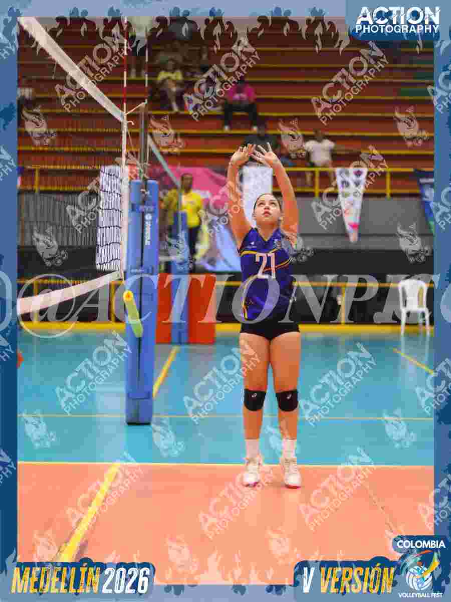 TIGRES JP Foto 11