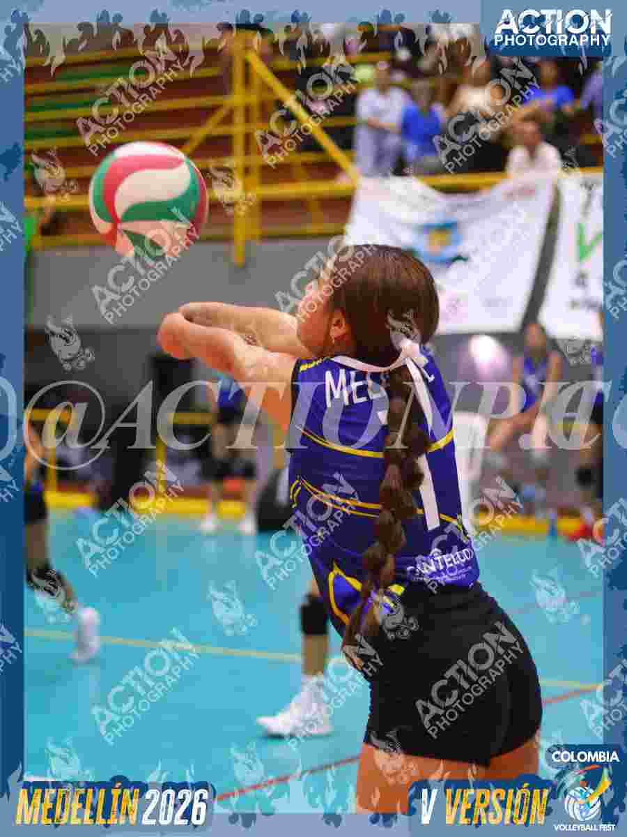 TIGRES JP Foto 11