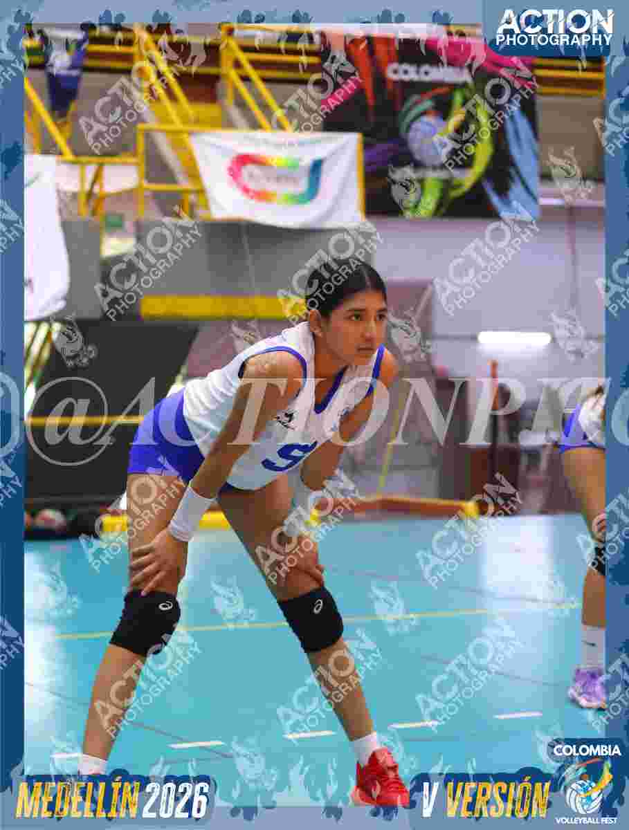 TIGRES JP Foto 1
