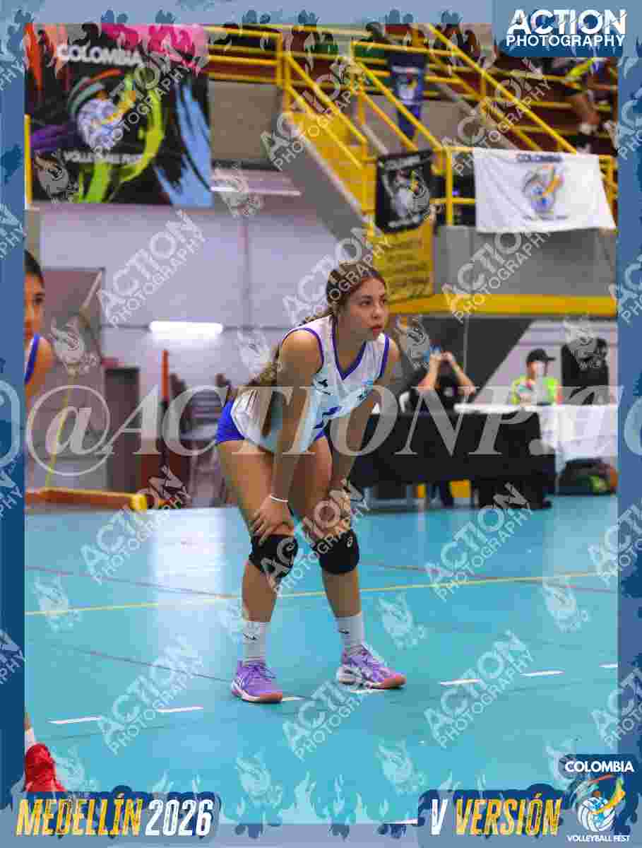 TIGRES JP Foto 11