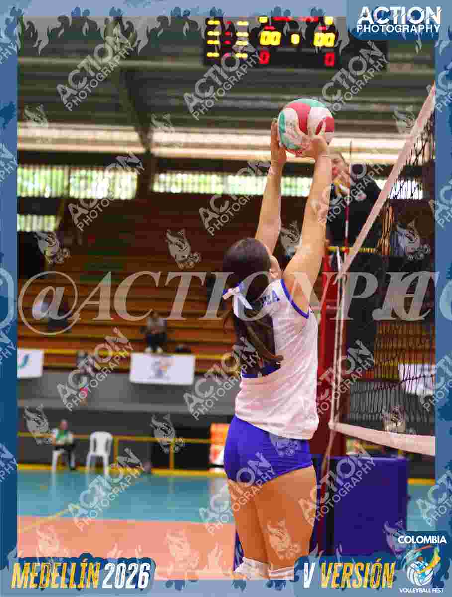 TIGRES JP Foto 1