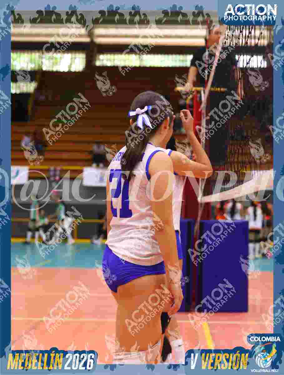 TIGRES JP Foto 1