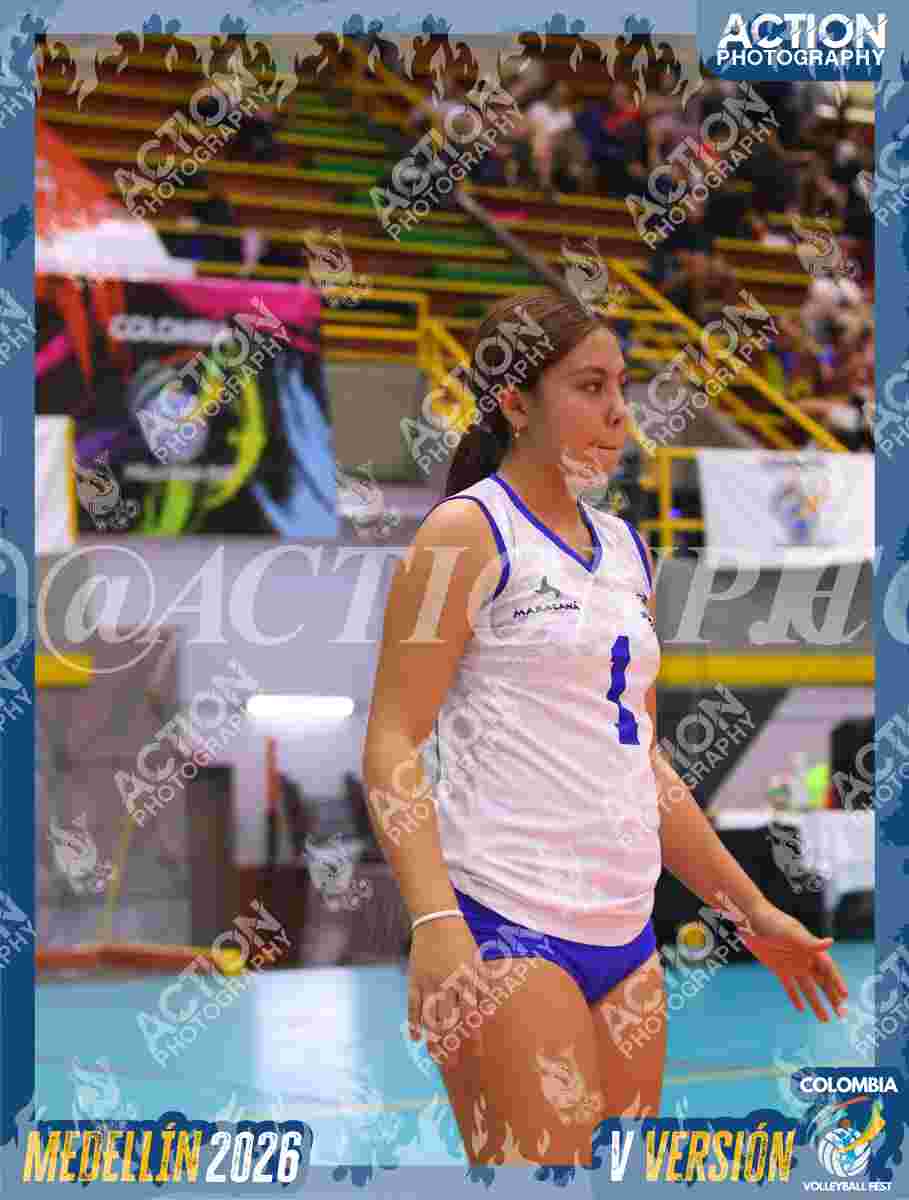 TIGRES JP Foto 1