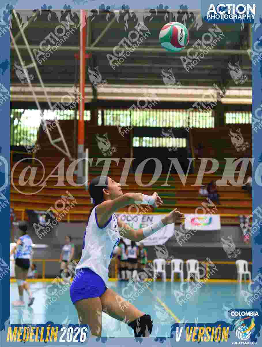 TIGRES JP Foto 11