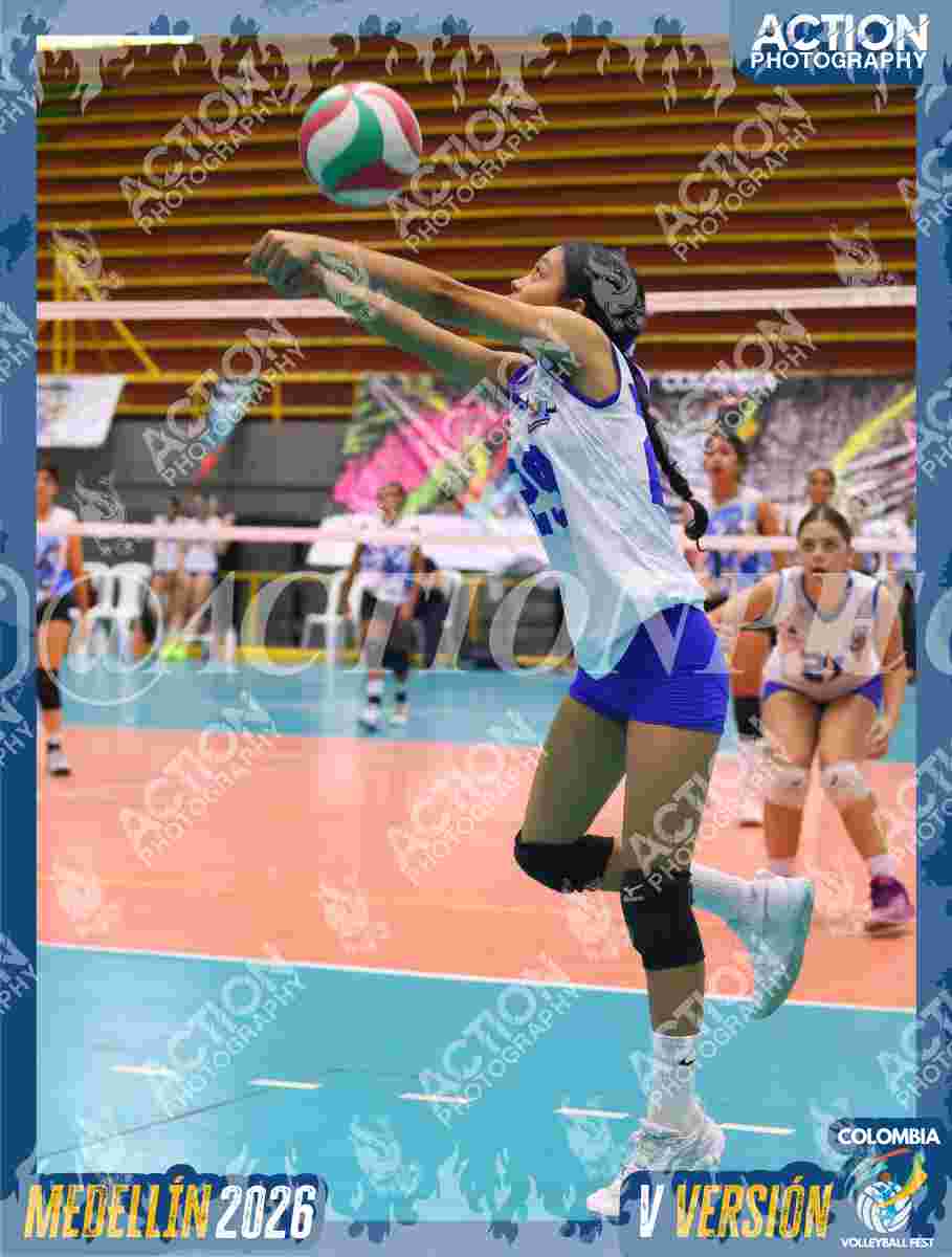 TIGRES JP Foto 11