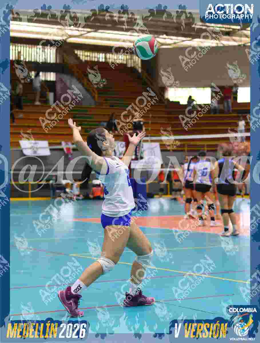 TIGRES JP Foto 11
