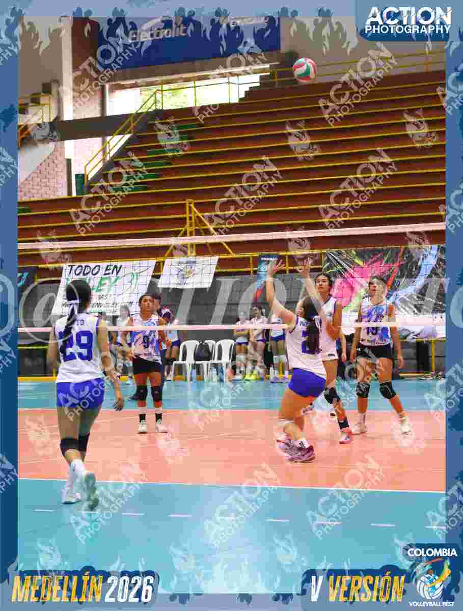 TIGRES JP Foto 11