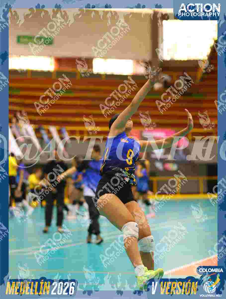WOLVES Foto 1