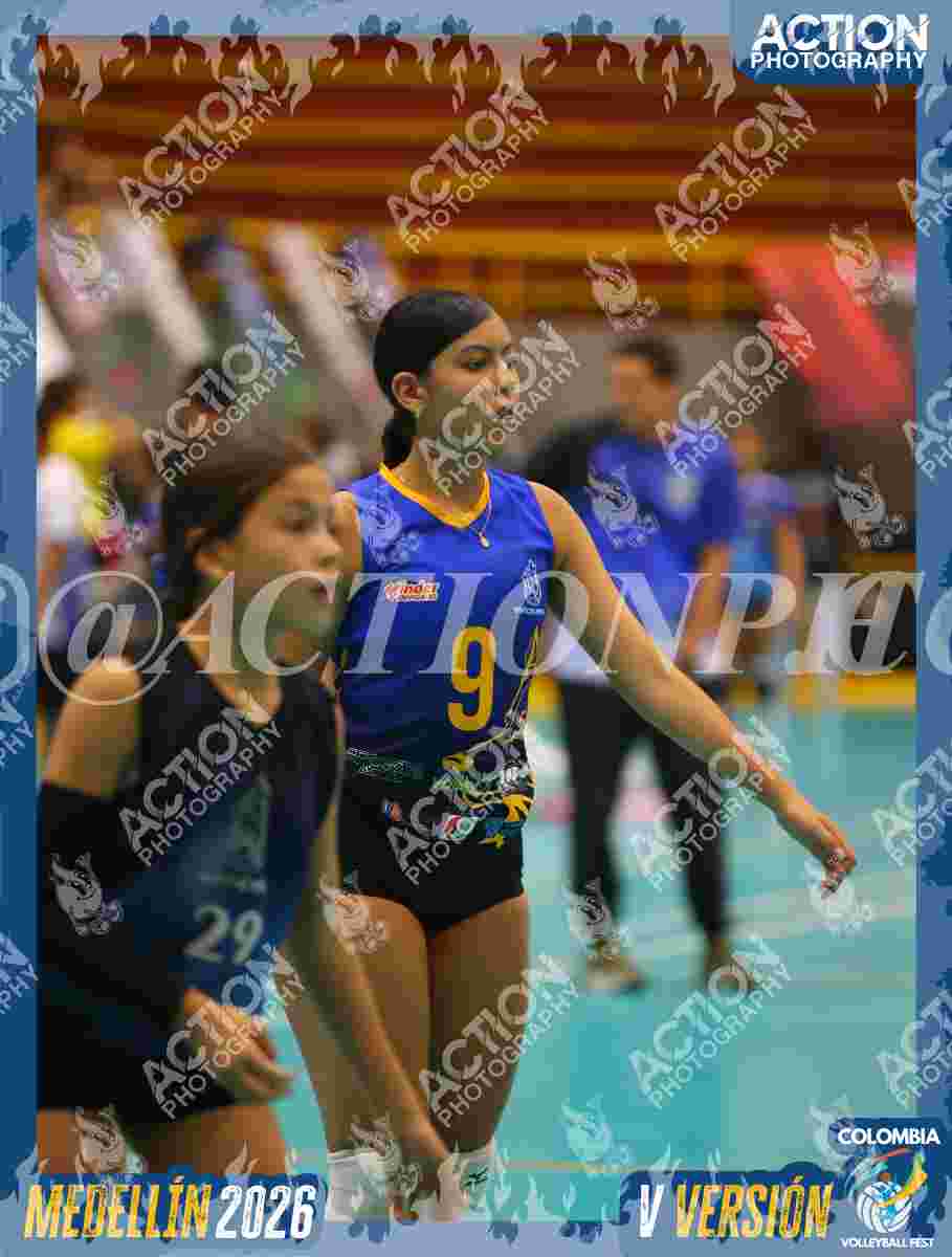 WOLVES Foto 11