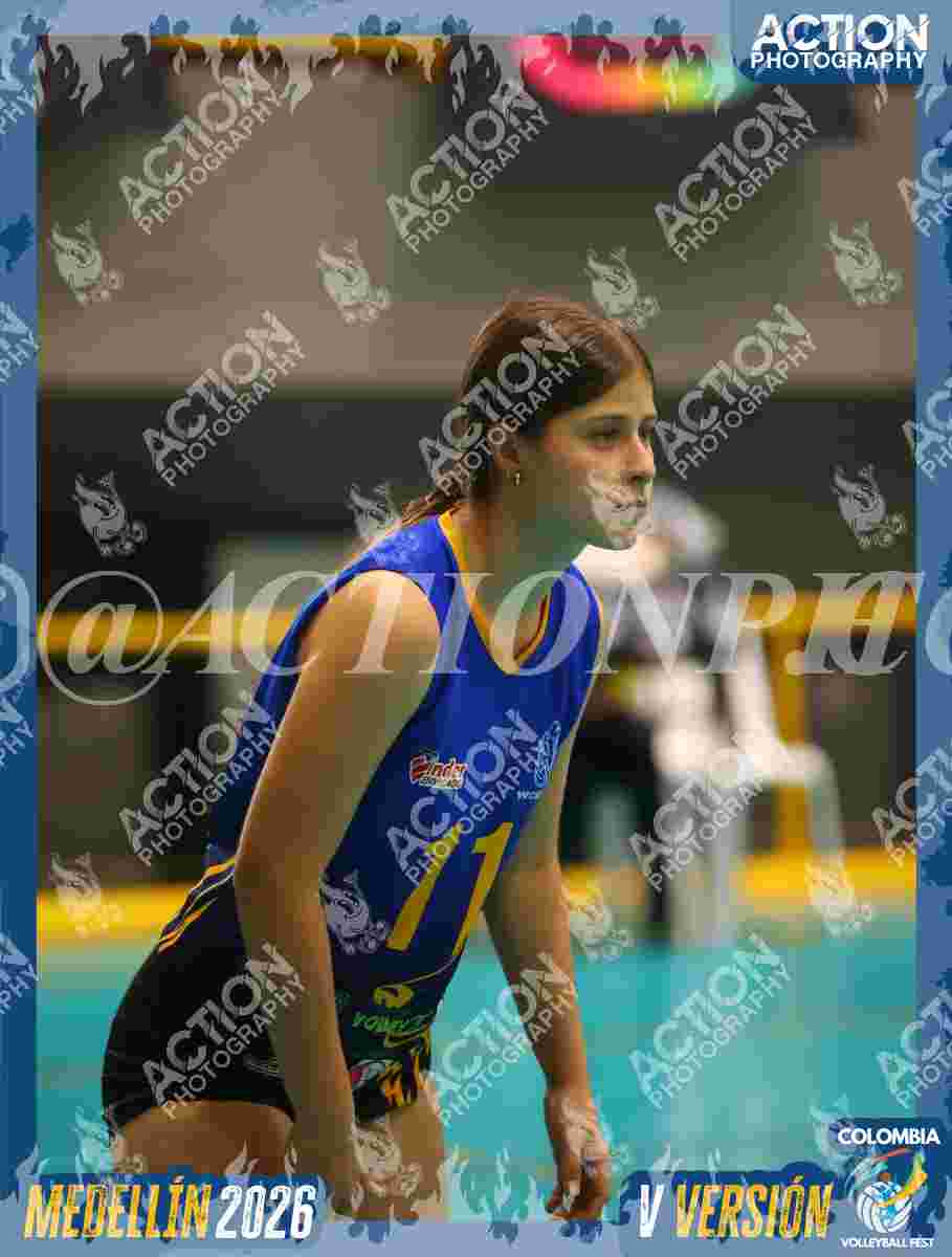 WOLVES Foto 1