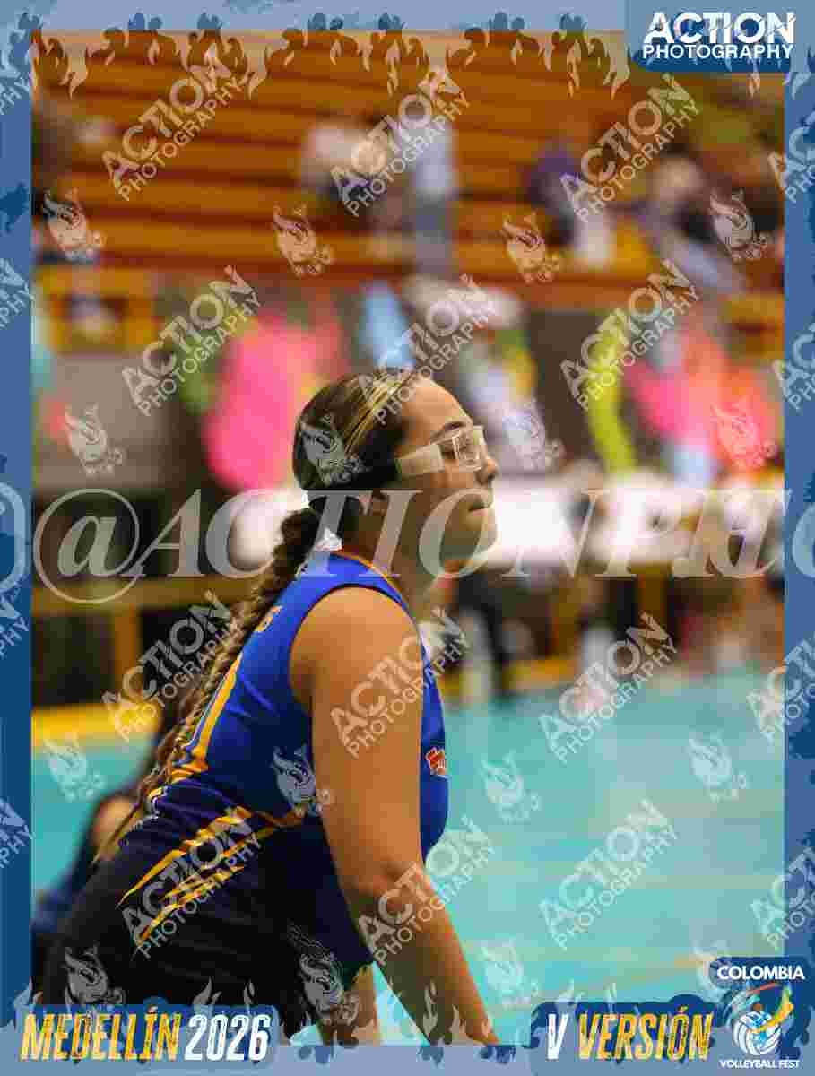 WOLVES Foto 1