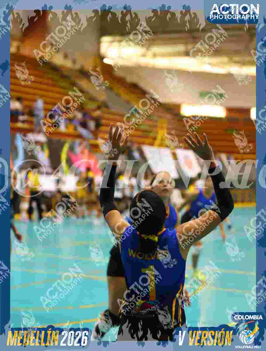 WOLVES Foto 1