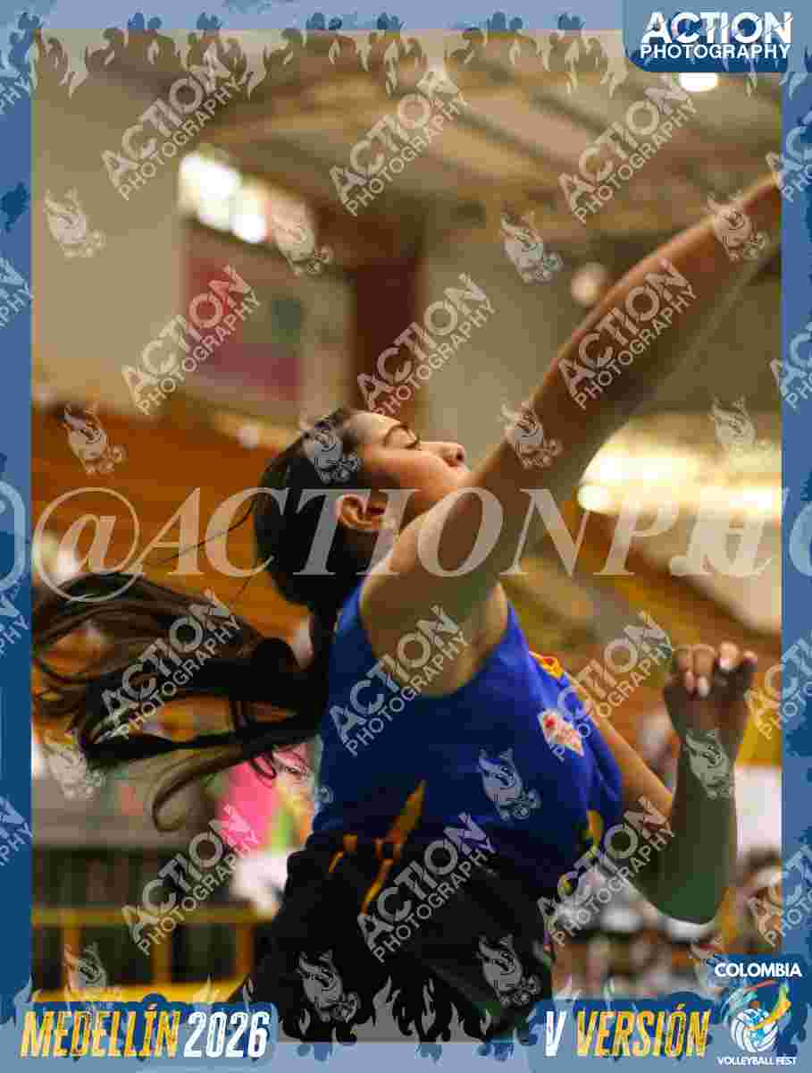 WOLVES Foto 1