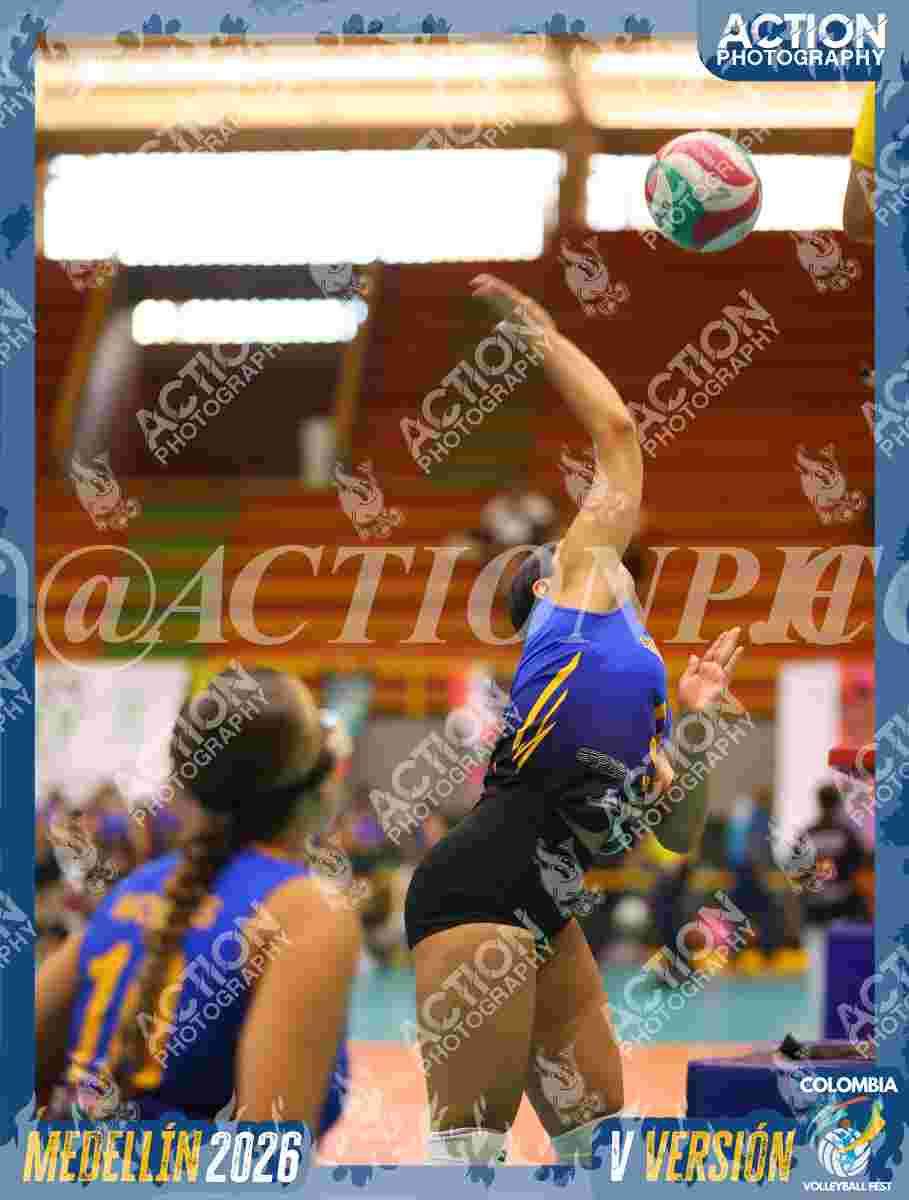 WOLVES Foto 1
