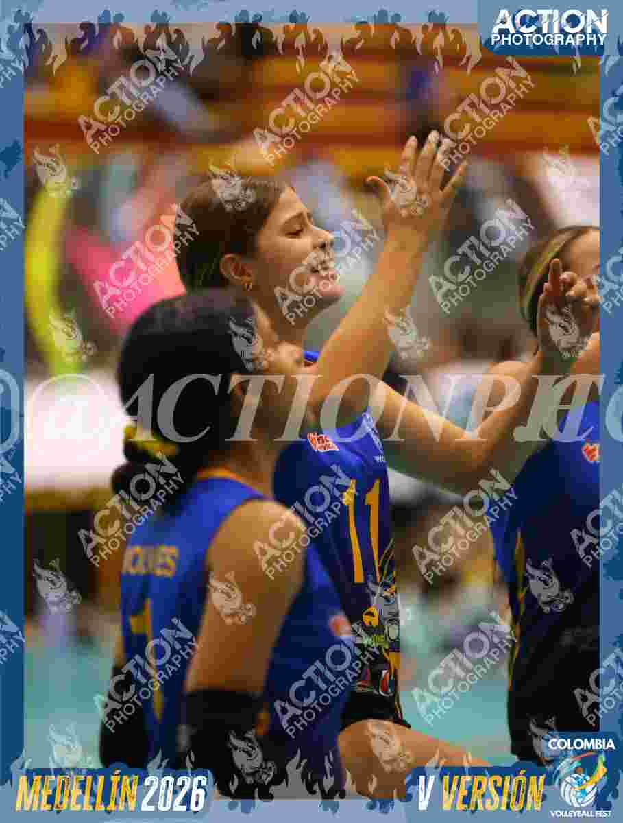 WOLVES Foto 11