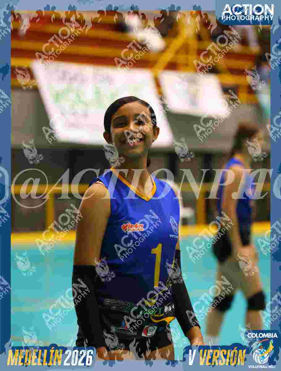 WOLVES Foto 11